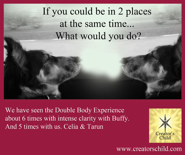 double body experience