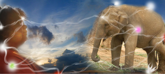 Telepathic Communication