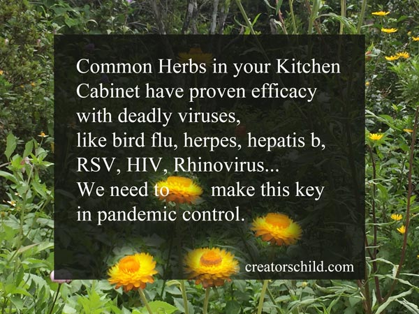 Corona Fighter herbs