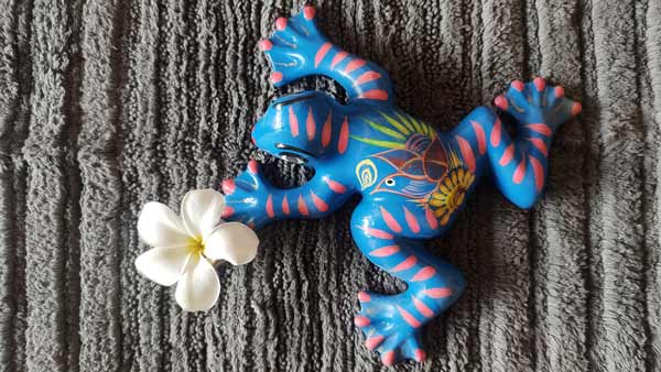 Froggy Past Life and Princely Lessons