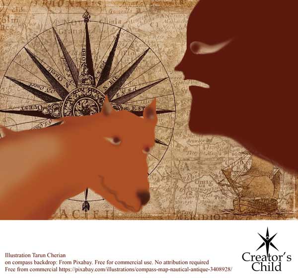 Intuition brings Rex home