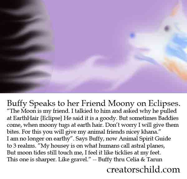 Buffy on Eclipses