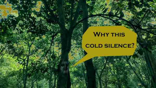 The Park stops hiding