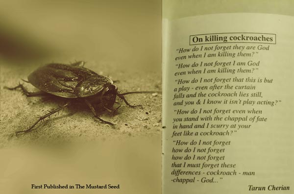 on killing cockroaches