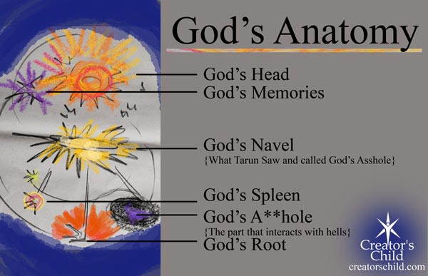 Gods Anatomy