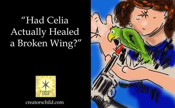 Celia Cherian heals a parrot