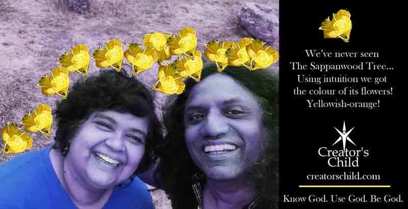 Ibtuition and the colour of the flower