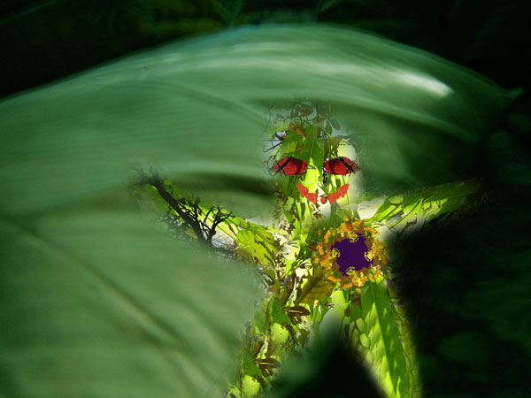 spring spirit revealed 